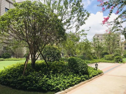 農工商綠化 工程項目榮獲上海市 園林杯 優質工程金獎及優質工程獎