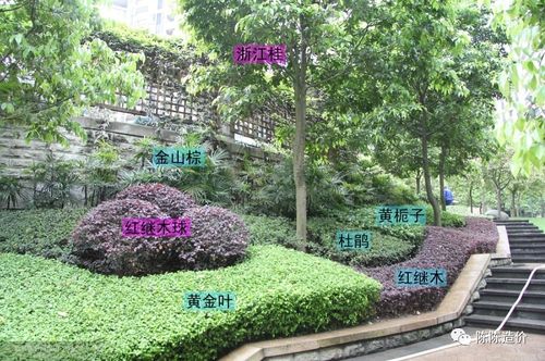 綠化養護期到底從哪開始計